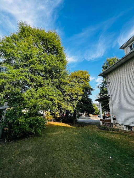 4 Bedroom Dc'S Best Location With Parking, Walk To Clarendon Metro, Shopping And Nightlife! Arlington Exteriör bild