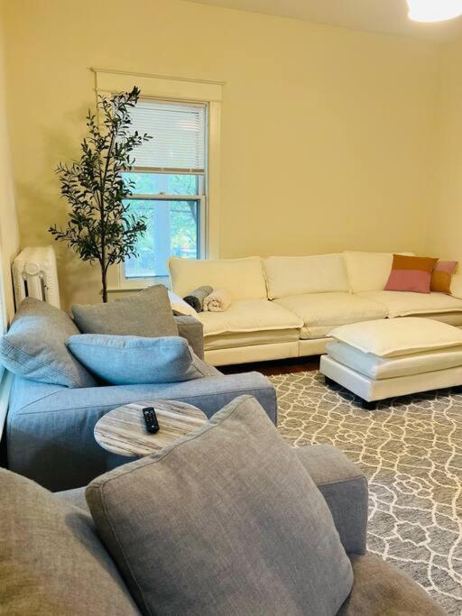 4 Bedroom Dc'S Best Location With Parking, Walk To Clarendon Metro, Shopping And Nightlife! Arlington Exteriör bild